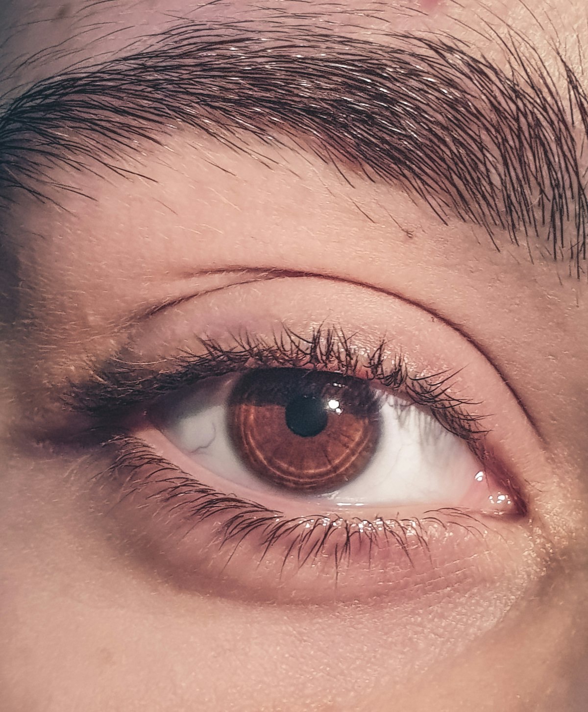 Close-up of lifted natural lashes and a defined eye